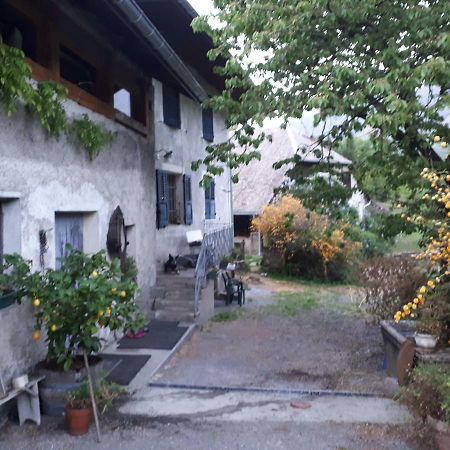 Domaine de la Safranière - Chambre d'hote Saint-Léger Extérieur photo