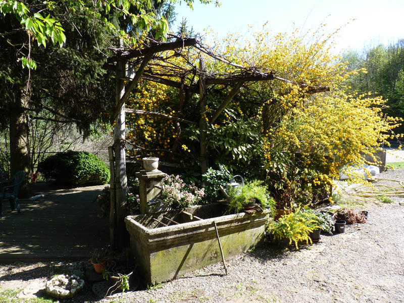 Domaine de la Safranière - Chambre d'hote Saint-Léger Extérieur photo