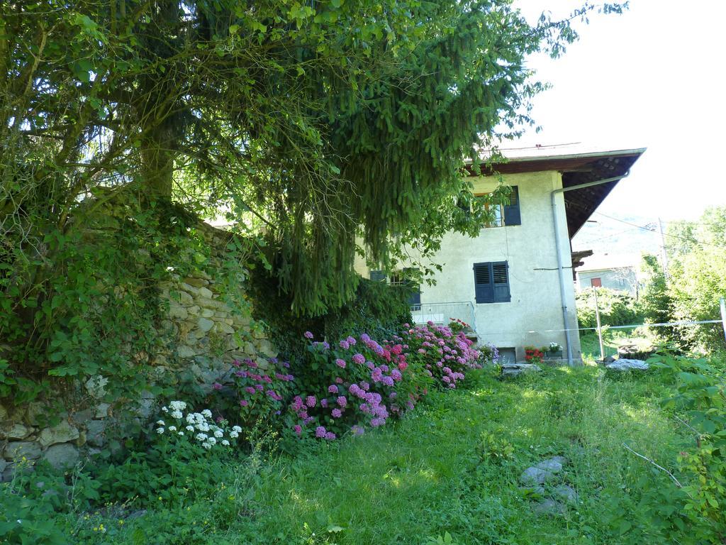 Domaine de la Safranière - Chambre d'hote Saint-Léger Extérieur photo
