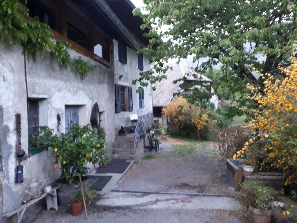 Domaine de la Safranière - Chambre d'hote Saint-Léger Extérieur photo
